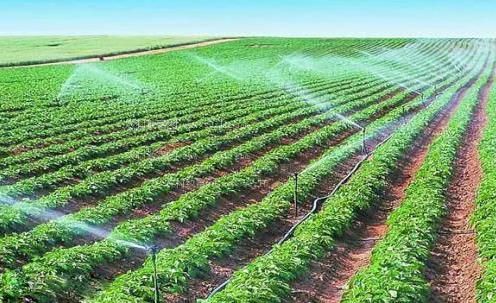 丰满美女大胆掰BB农田高 效节水灌溉